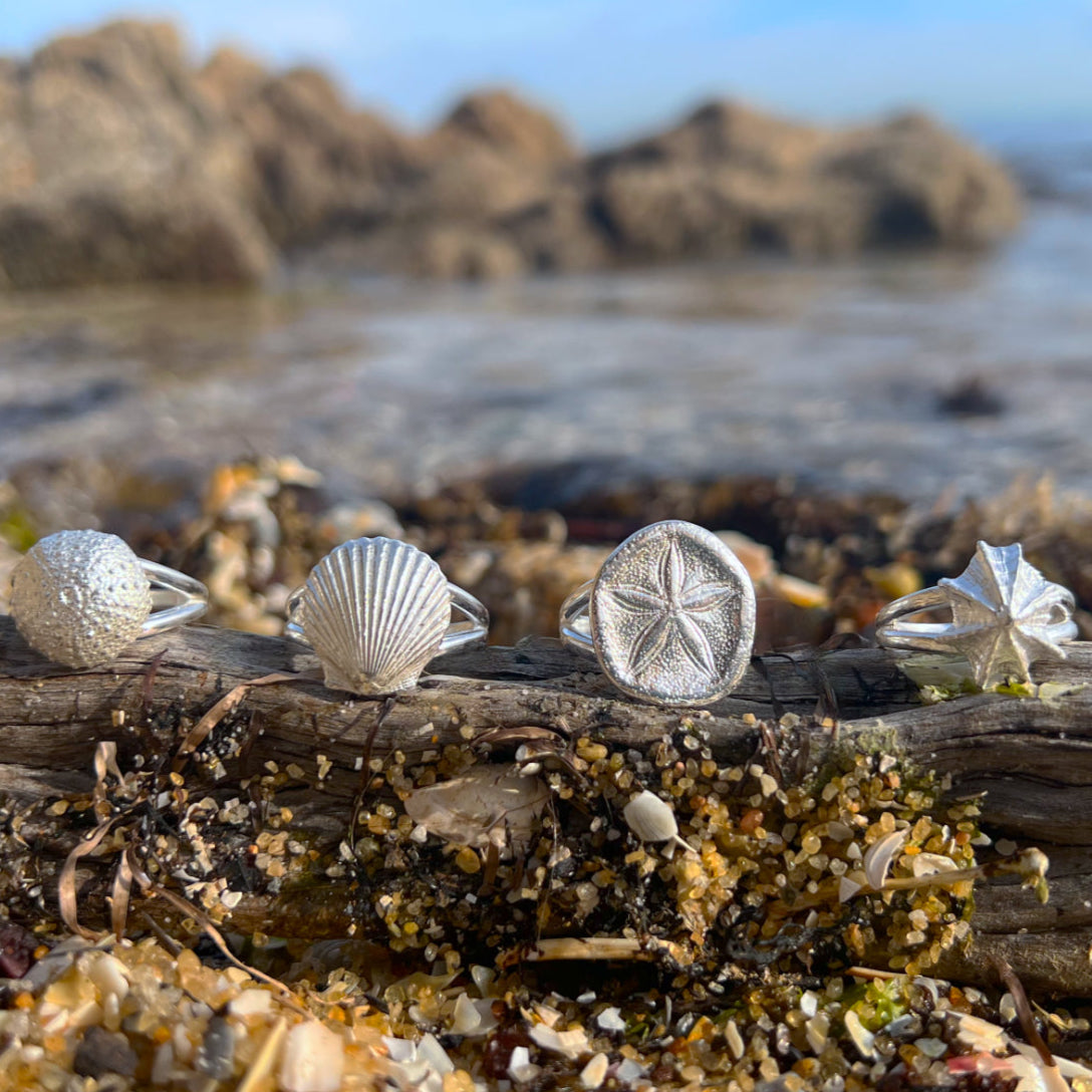 Double band sterling silver shell rings by Mornington Sea Glass