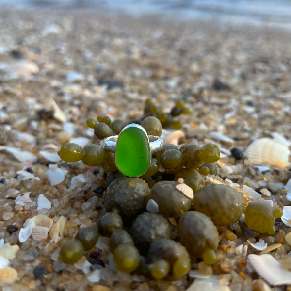 Green sea glass set in silver on organic hammered ring band by Mornington Sea Glass. Size 7.
