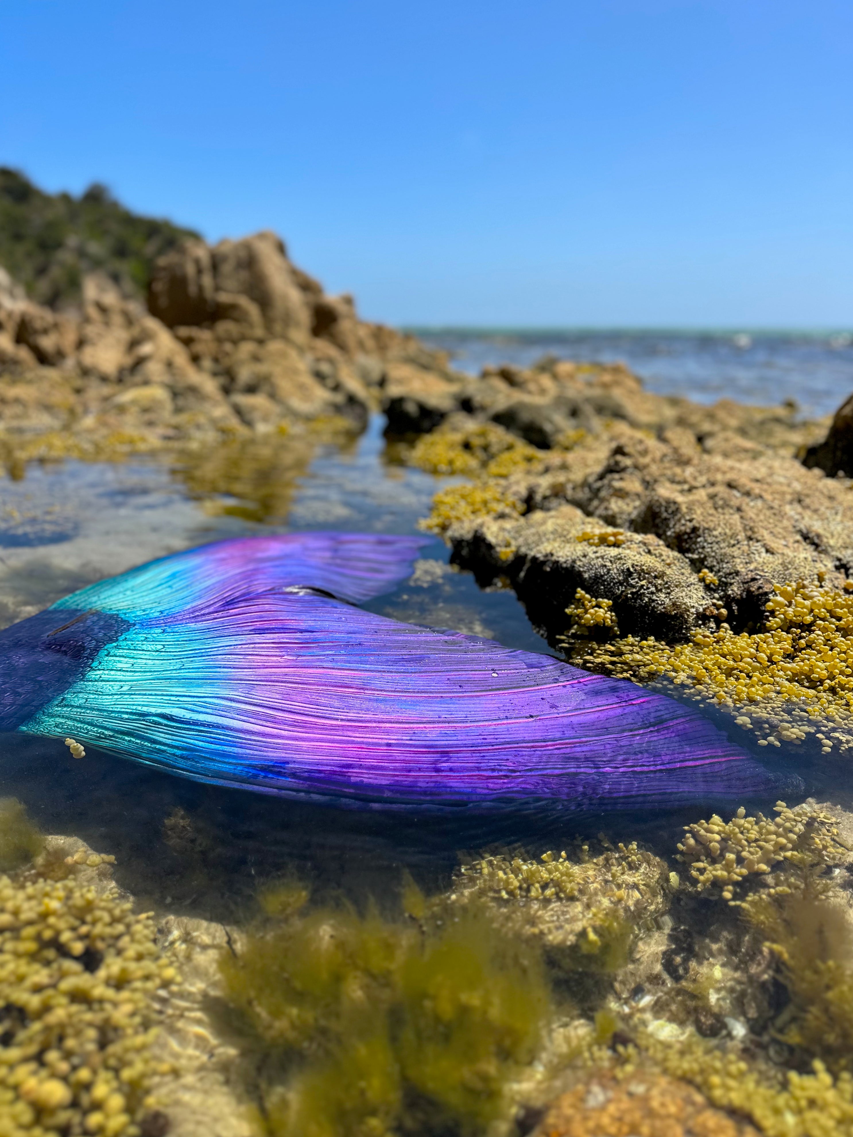 Photo of local Mornington Peninsula mermaid, Marianna the Mermaid Tail at Mornington Sea Glass Jewellery Photo Shoot