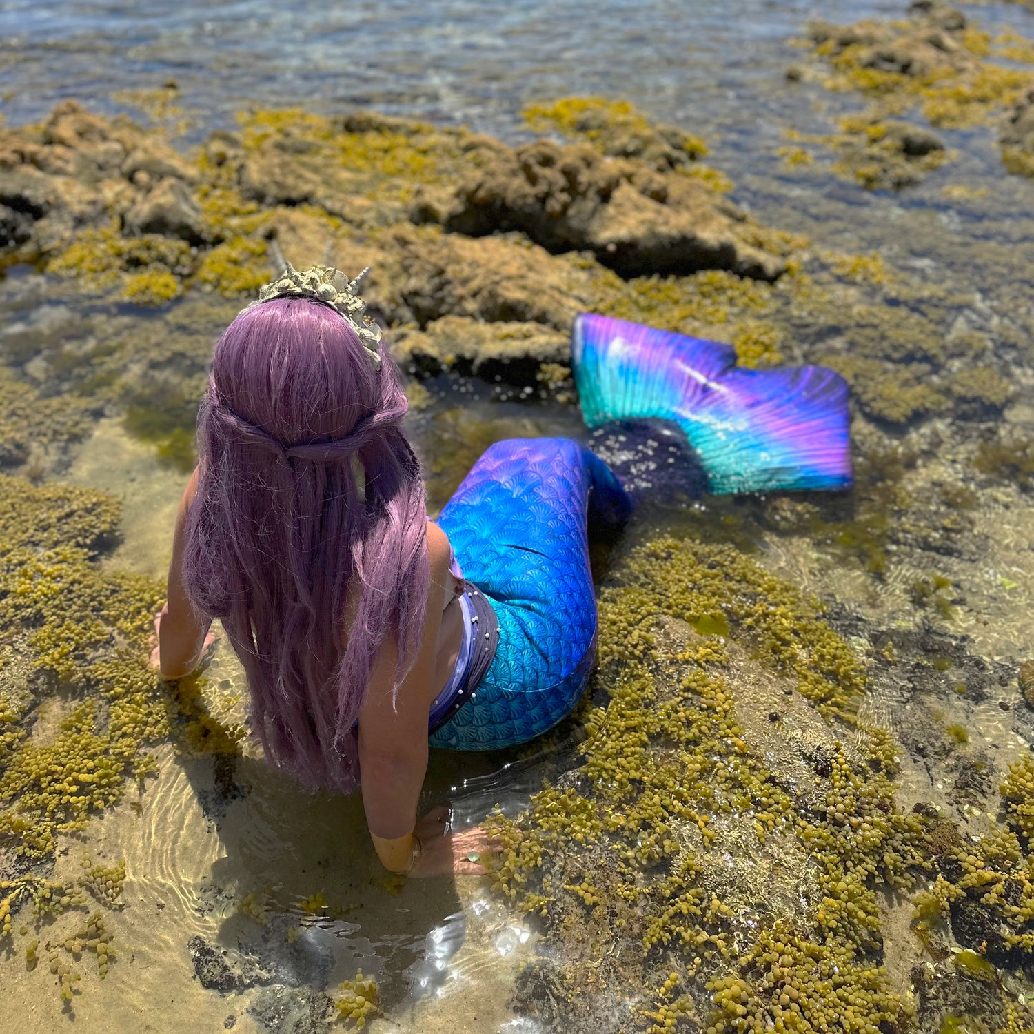 Marianna Mermaid Gazing out into Port Phillip Bay, Mt Martha