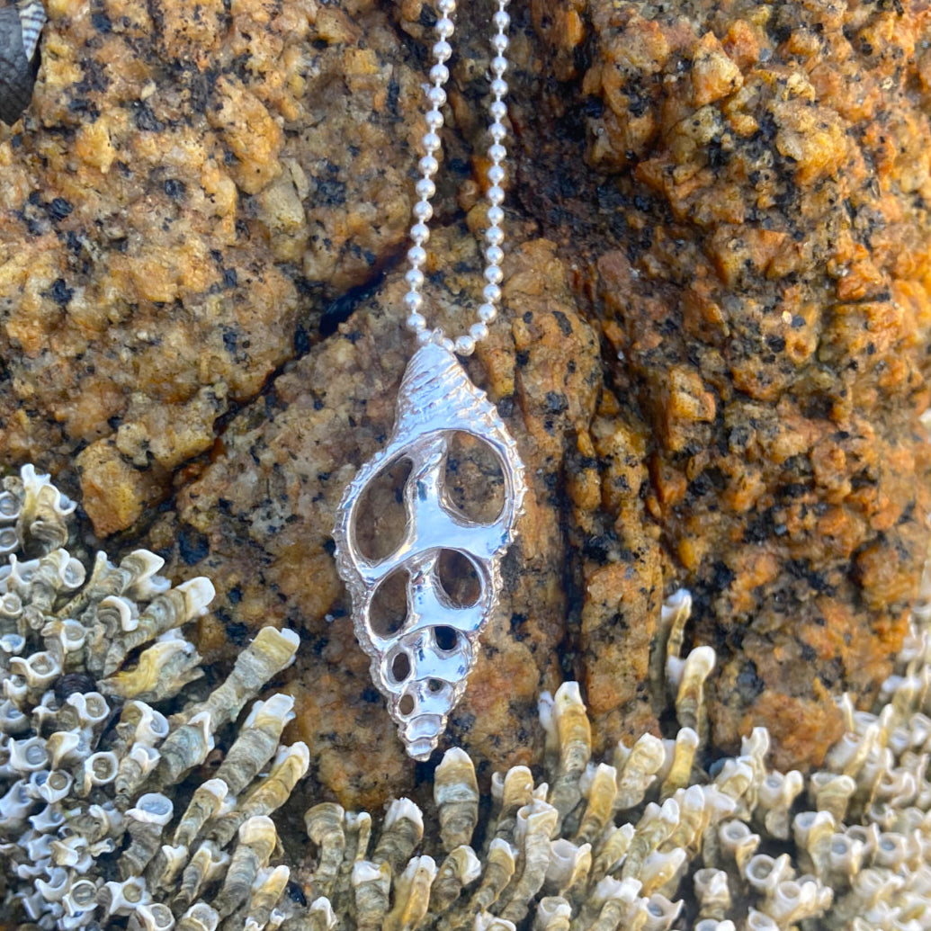 Sterling silver necklace of a cast silver shell. Hangs on a 40 or 45cm sterling silver chain. By Mornington Sea Glass.