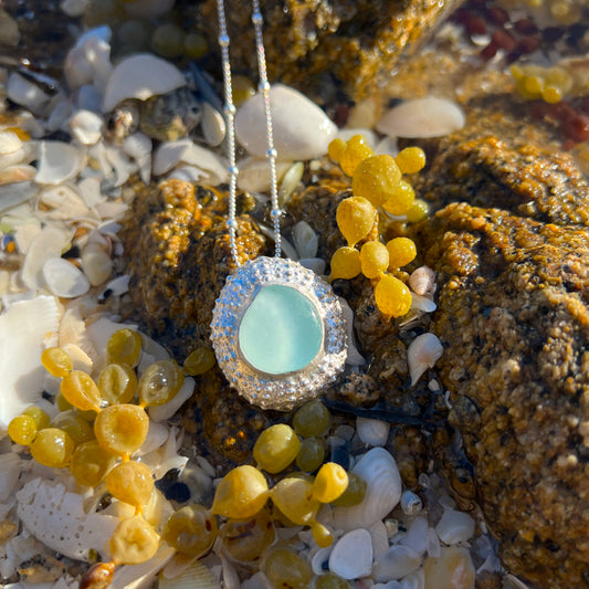 Sterling silver necklace of a large 3cm cast silver sea urchin shell with soft blue sea glass from the Mornington Peninsula set in the centre. Hangs on a 45cm sterling silver snake chain. By Mornington Sea Glass.