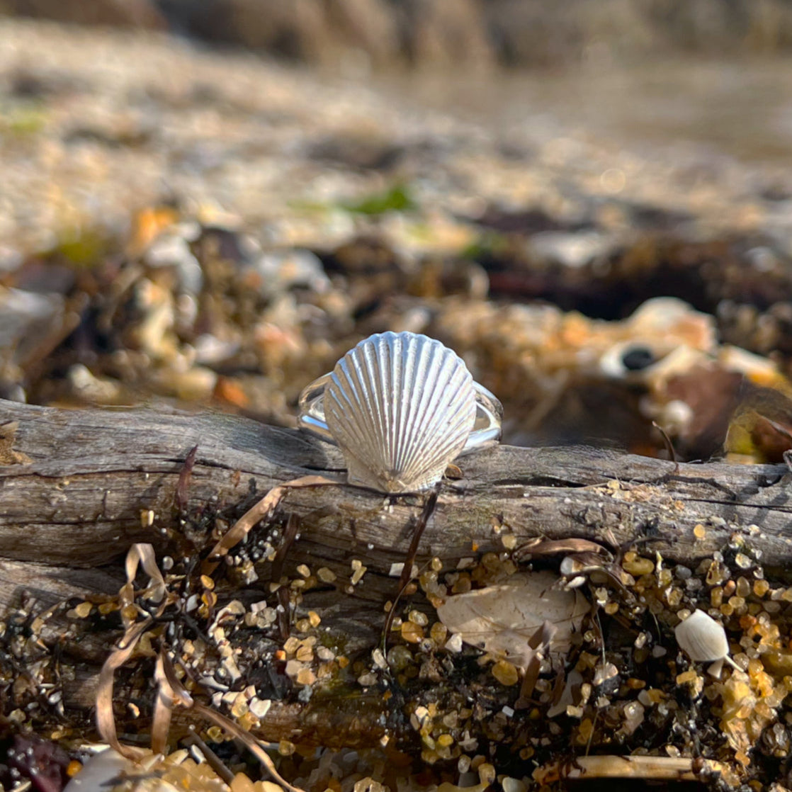 Double band sterling silver scallop shell ring by Mornington Sea Glass. Size 9.