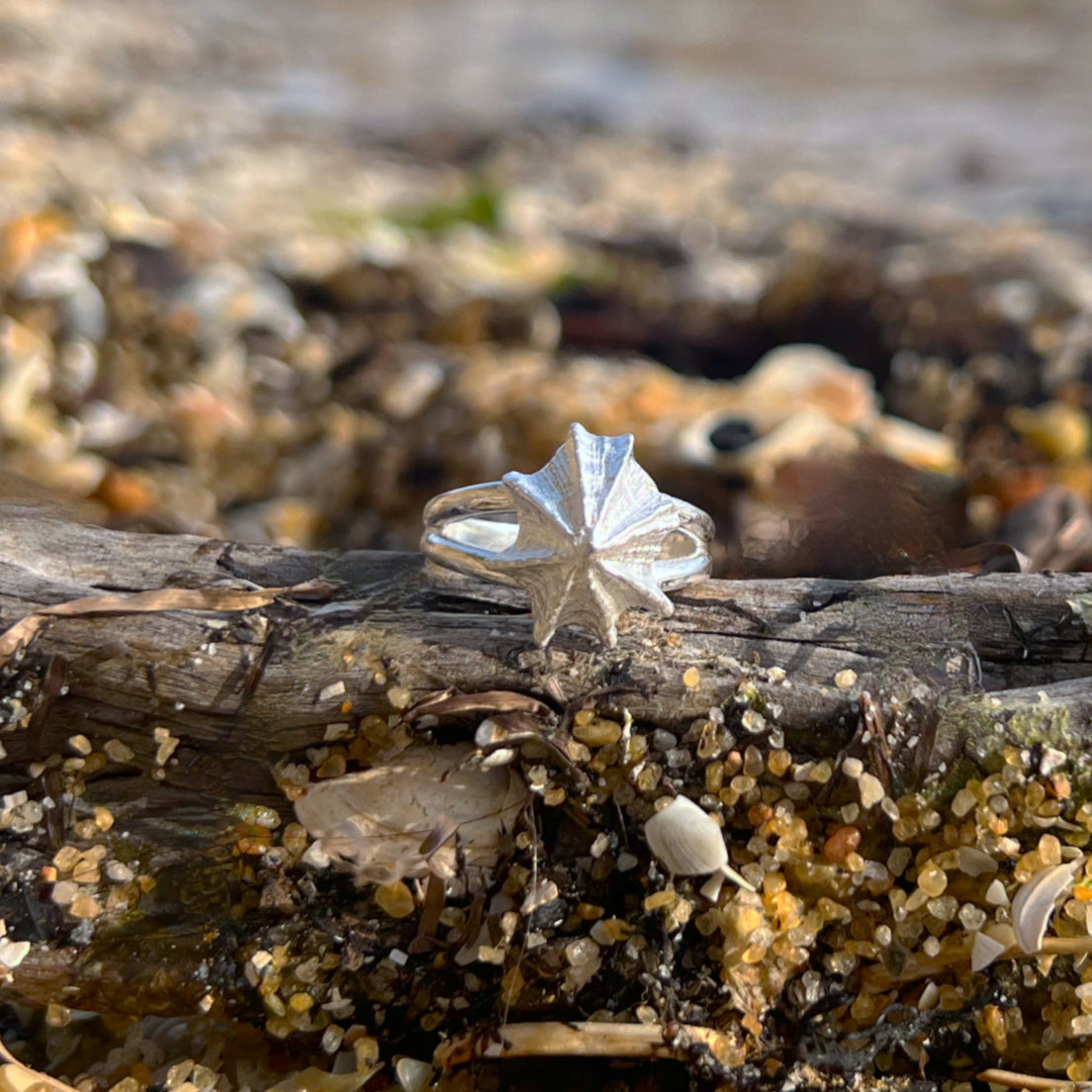 Double band sterling silver limpet shell ring by Mornington Sea Glass. Size 6 3/4 or 8.