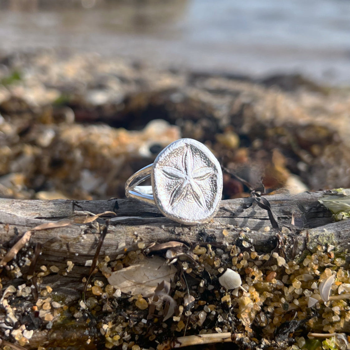 Double band sterling silver sea biscuit shell ring by Mornington Sea Glass. Size 8 ¼ o Q.