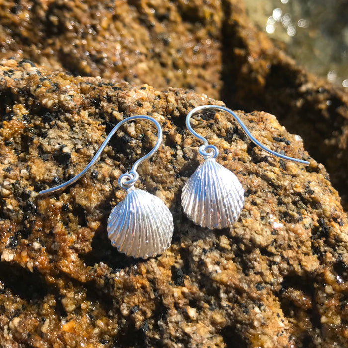 Cast silver shell earrings by Mornington Sea Glass. Photographed at rock pools on the Mornington  Peninsula, Victoria, Australia.