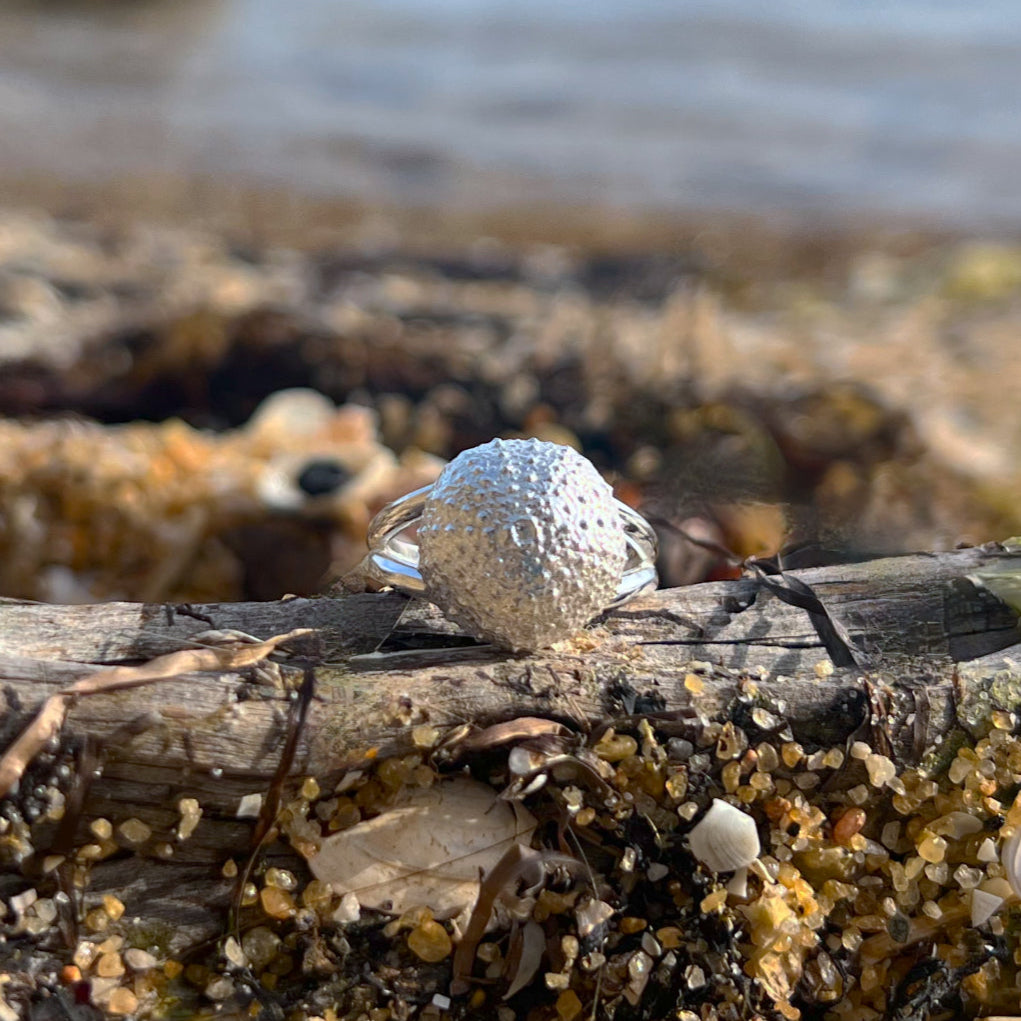 Double band sterling silver sea urchin shell ring by Mornington Sea Glass. Size 7 or 8.