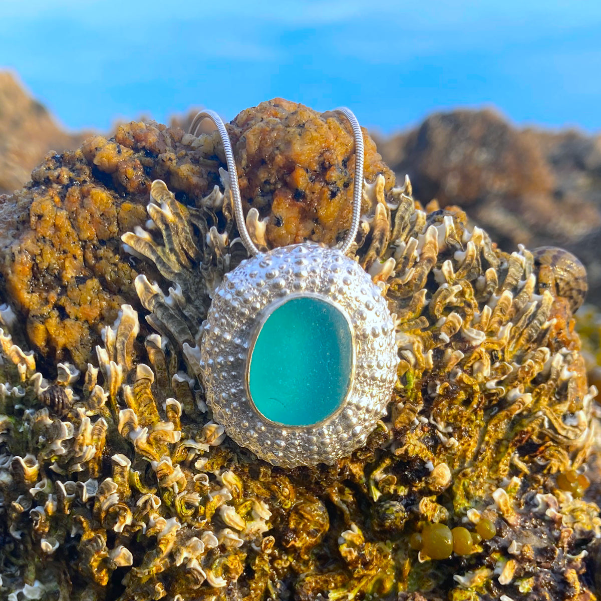 Sterling silver necklace of a large 3cm cast silver sea urchin shell with ocean teal sea glass from Japan set in the centre. Hangs on a 40 or 45cm sterling silver snake chain. By Mornington Sea Glass.