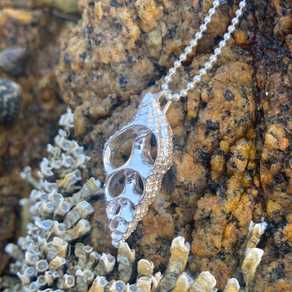 Sterling silver necklace of a cast silver shell. Hangs on a 40 or 45cm sterling silver chain. By Mornington Sea Glass.