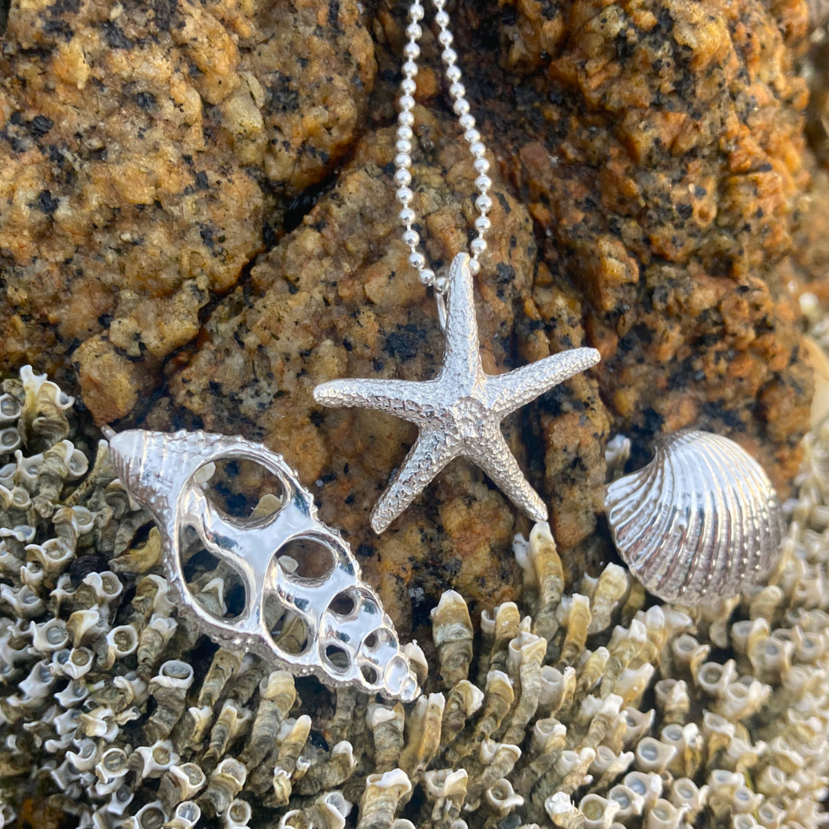 Sterling silver necklace of a cast silver shell. Hangs on a 40 or 45cm sterling silver chain. By Mornington Sea Glass.