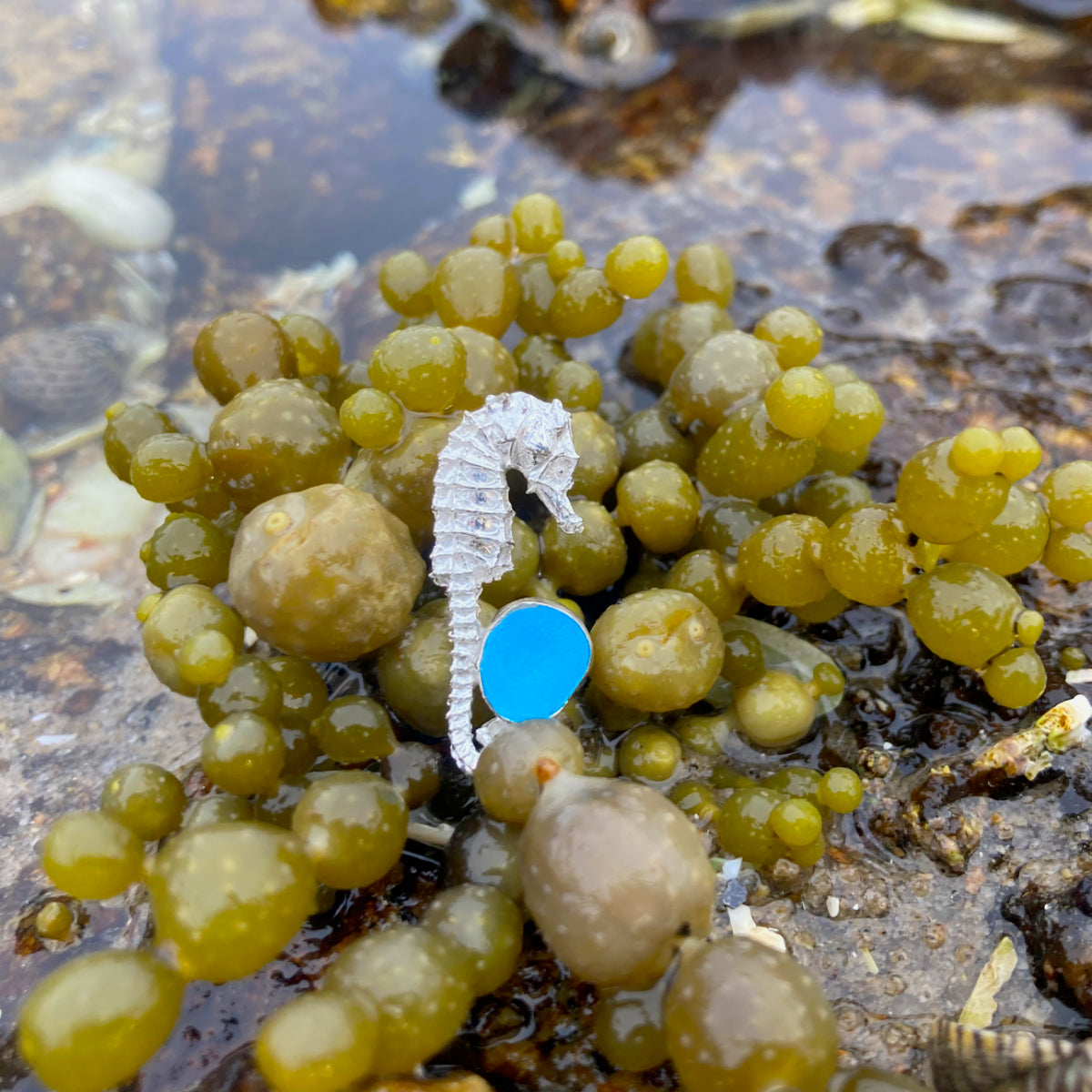 Sterling silver necklace of a small cast silver seahorse with a tiny blue sea glass treasure. Hangs on a 40 or 45cm sterling silver chain. By Mornington Sea Glass.