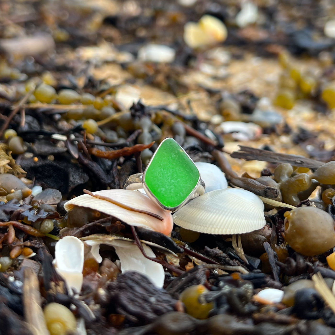 Silver and green sea glass ring in size 7 1/2 by Mornington Sea Glass