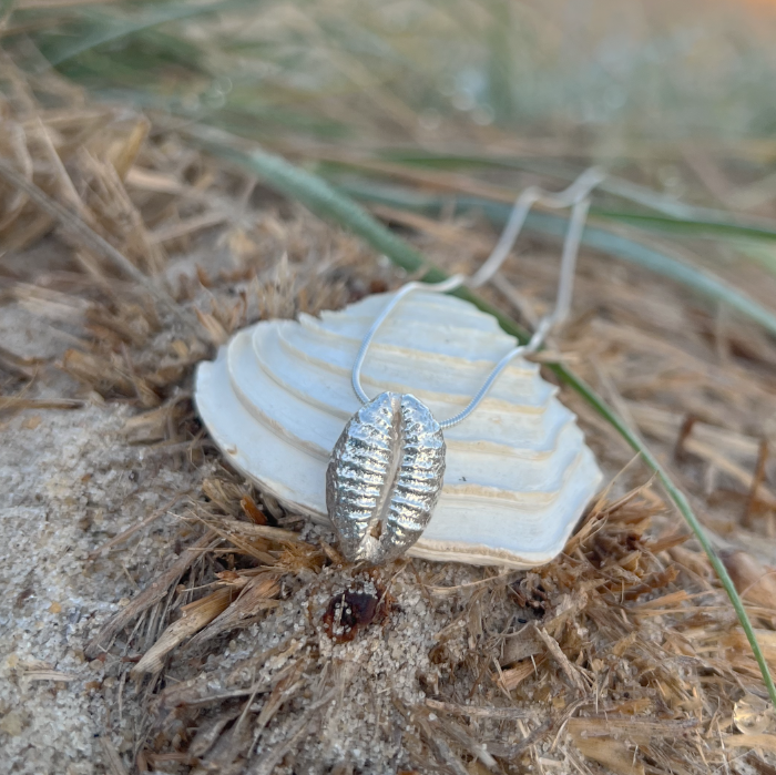 Cast silver cowrie shell  pendant on a 40 or 45cm sterling silver chain by Mornington Sea Glass