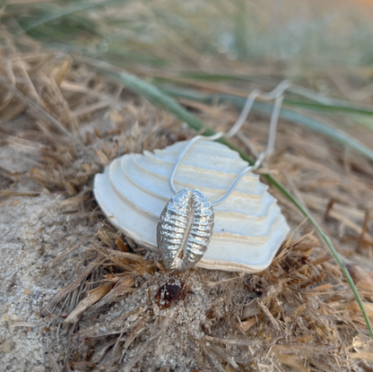 Cast silver cowrie shell  pendant on a 40 or 45cm sterling silver chain by Mornington Sea Glass