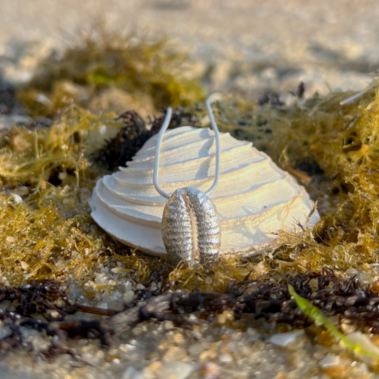 Cast silver cowrie shell  pendant on a 40 0r 45cm sterling silver chain by Mornington Sea Glass