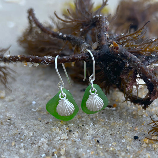 Green sea glass with sterling silver shell charm earrings by Mornington Sea Glass
