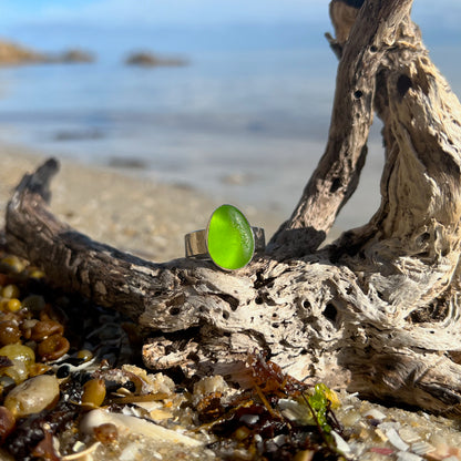Green sea glass set in Argentium silver with hammered sterling silver textured ring band by Mornington Sea Glass. Size 9