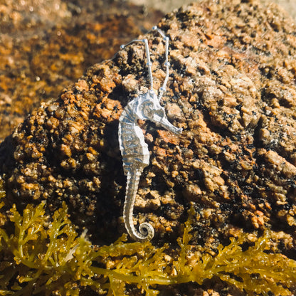 Cast silver seahorse pendant by Mornington Sea Glass. Hangs on a 40 or 45cm sterling silver snake chain.