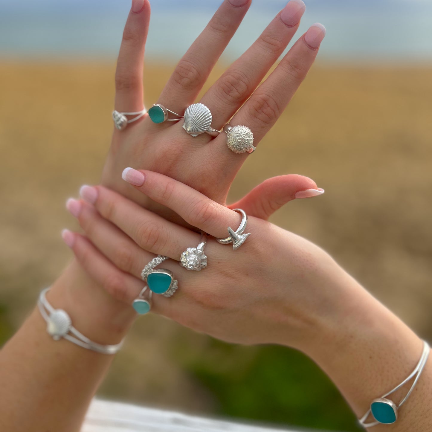 Assorted silver and sea glass rings and bangles by Mornington Sea Glass. Features cast shells, shark teeth and octopus tentacle.