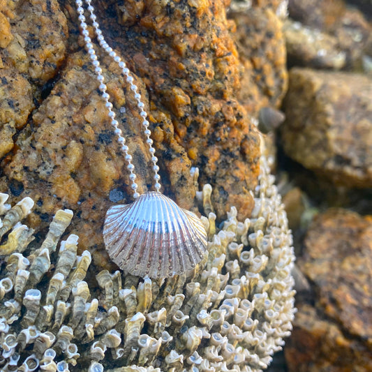 Sterling silver necklace of a cast silver shell. Hangs on a 40 or 45cm sterling silver chain. By Mornington Sea Glass.