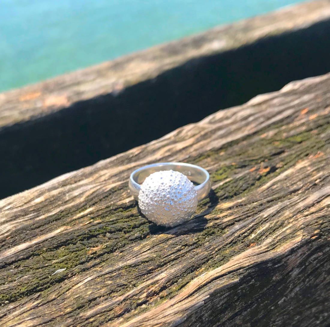 Cast silver sea urchin shell ring by Mornington Sea Glass. Photographed on pier on the Mornington Peninsula, Victoria, Australia.
