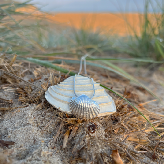 Sterling silver necklace of a cast silver shell. Hangs on a 40 or 45cm sterling silver chain. By Mornington Sea Glass.