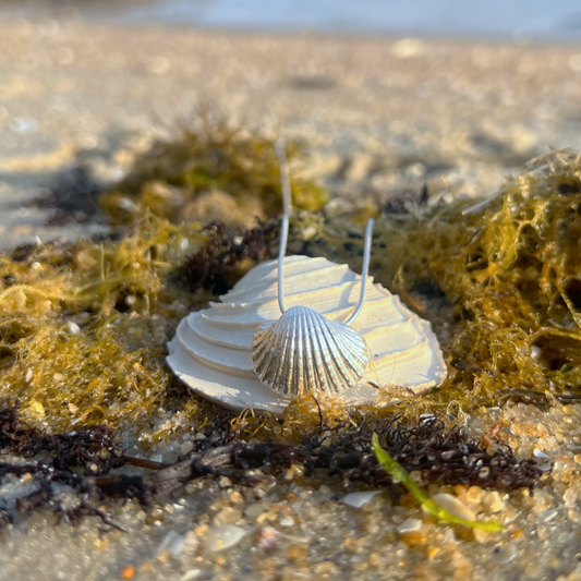 Sterling silver necklace of a cast silver shell. Hangs on a 40 or 45cm sterling silver chain. By Mornington Sea Glass.