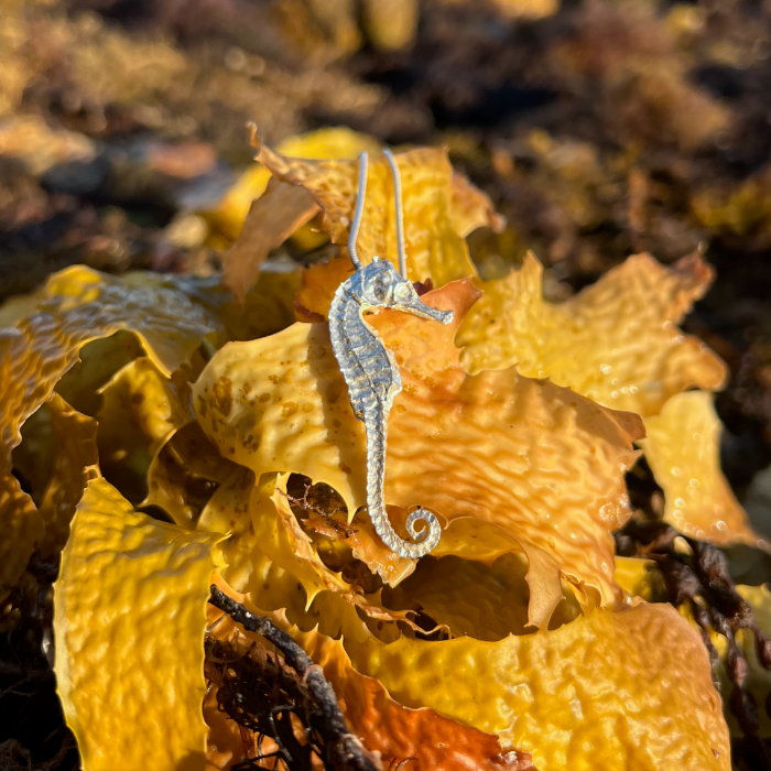 Cast silver seahorse pendant by Mornington Sea Glass. Hangs on a 40 or 45cm sterling silver snake chain.