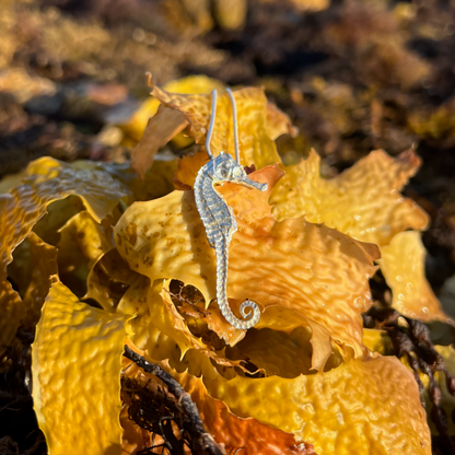 Cast silver seahorse pendant by Mornington Sea Glass. Hangs on a 40 or 45cm sterling silver snake chain.