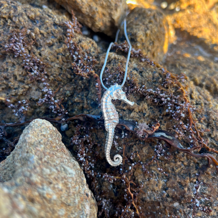Cast silver seahorse pendant by Mornington Sea Glass. Hangs on a 40 or 45cm sterling silver snake chain.