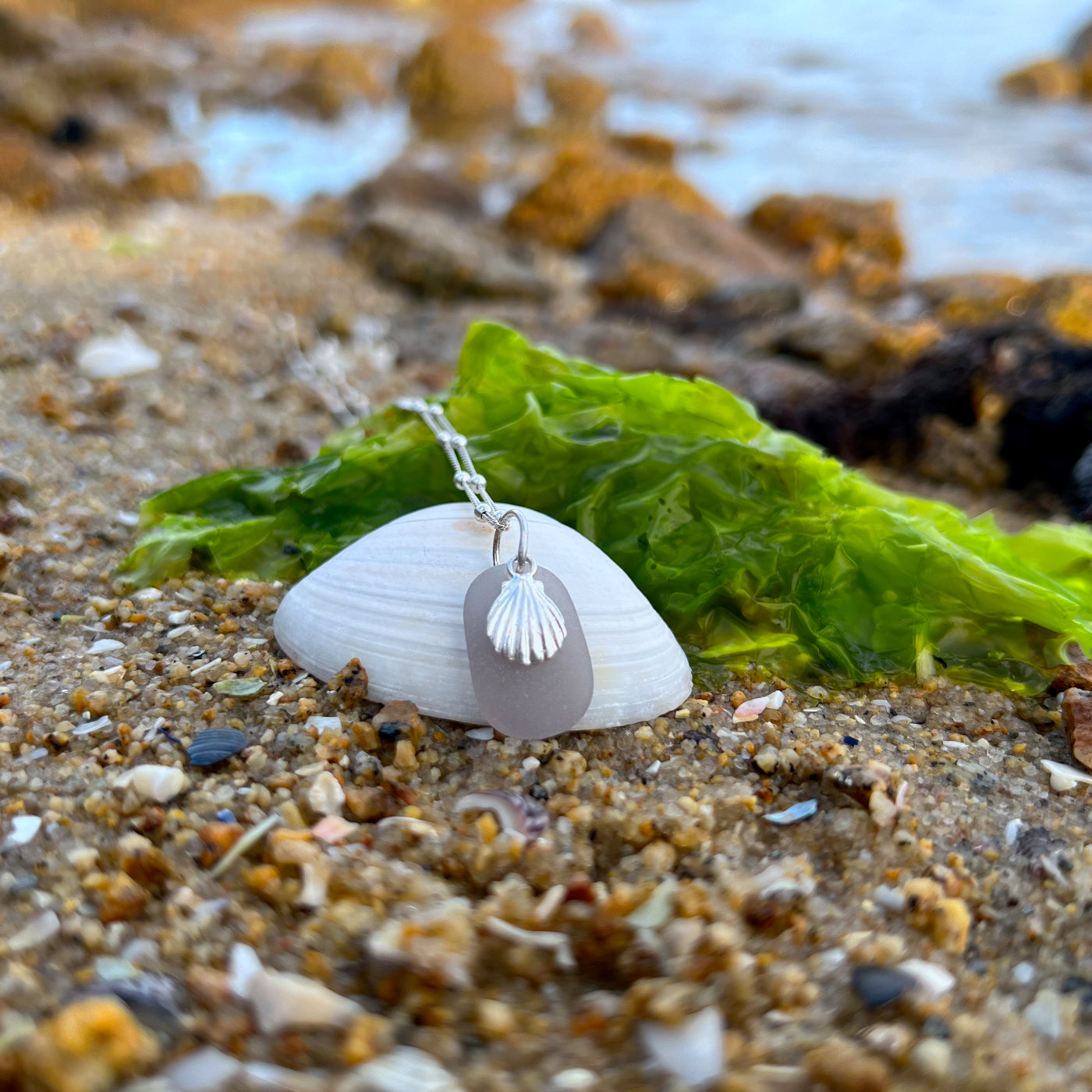 Purple sea glass and silver shell charm necklace by Mornington Sea Glass. Comes with a 40cm with 5cm ext sterling silver ball detail chain.