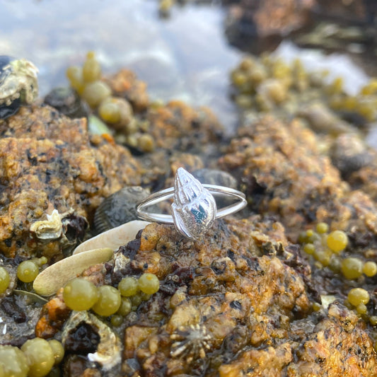 Sterling silver split centre wave ring featuring a cast silver spiral shell. Size 6 ¾ or N. By Mornington Sea Glass.