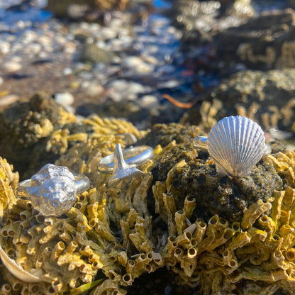 Sterling silver Scallop Shell, Spiral Shell and Shark Tooth Rings. By Mornington Sea Glass.